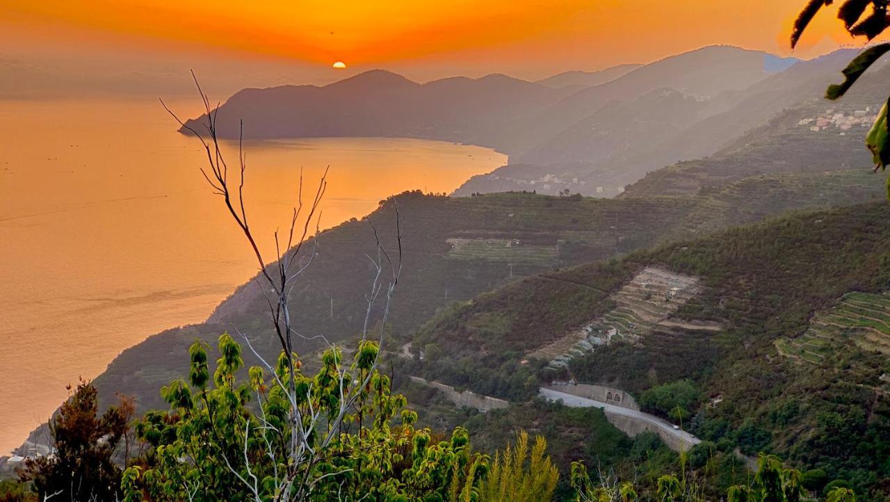La Casa Delle Pietre Parlanti - Casa In Pietra Ai Piedi Del Parco Delle 5 Terre Bed & Breakfast Biassa Bagian luar foto